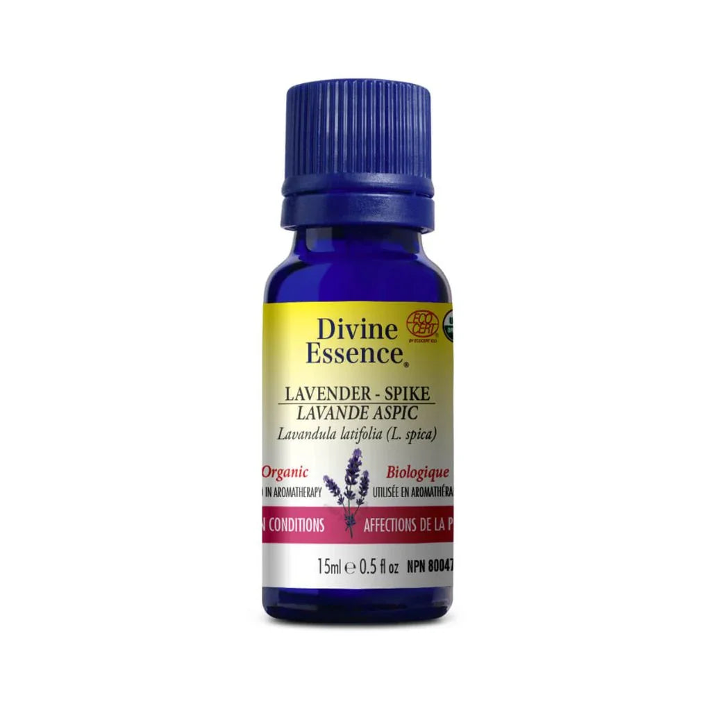 huile essentielle lavande aspic biologique Divine Essence - La Boite à Grains