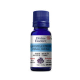 huiles essentielles lavandula suprême Divine Essence - La Boite à Grains