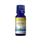 huile essentielle menthe verte biologique Divine Essence - La Boite à Grains