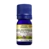 divine essence huile essentielle thym rouge ct thymol biologique 5 ml