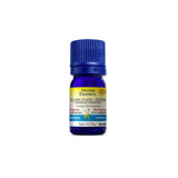 divine essence ylang ylang extra biologique 5 ml - La Boite à Grains