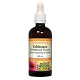 ECHINAMIDE Echinacea & Goldenseal Tincture Natural Factors - La Boite à Grains