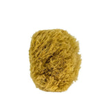 Urban Spa All Natural Sea Sponge - La Boite à Grains