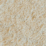 Milanese Organic Whole Barley Flour - La Boite à Grains