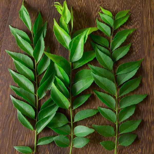 Cha's Organics Organic Whole Curry Leaves - La Boite à Grains