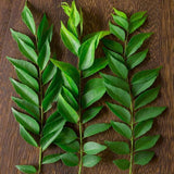 Cha's Organics Organic Whole Curry Leaves - La Boite à Grains