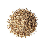 Organic Coriander Seeds (Bulk) La Boite à Grains Bulk - La Boite à Grains