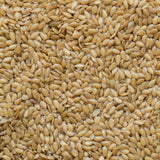 Milanese Organic Golden Flax Seeds - La Boite à Grains