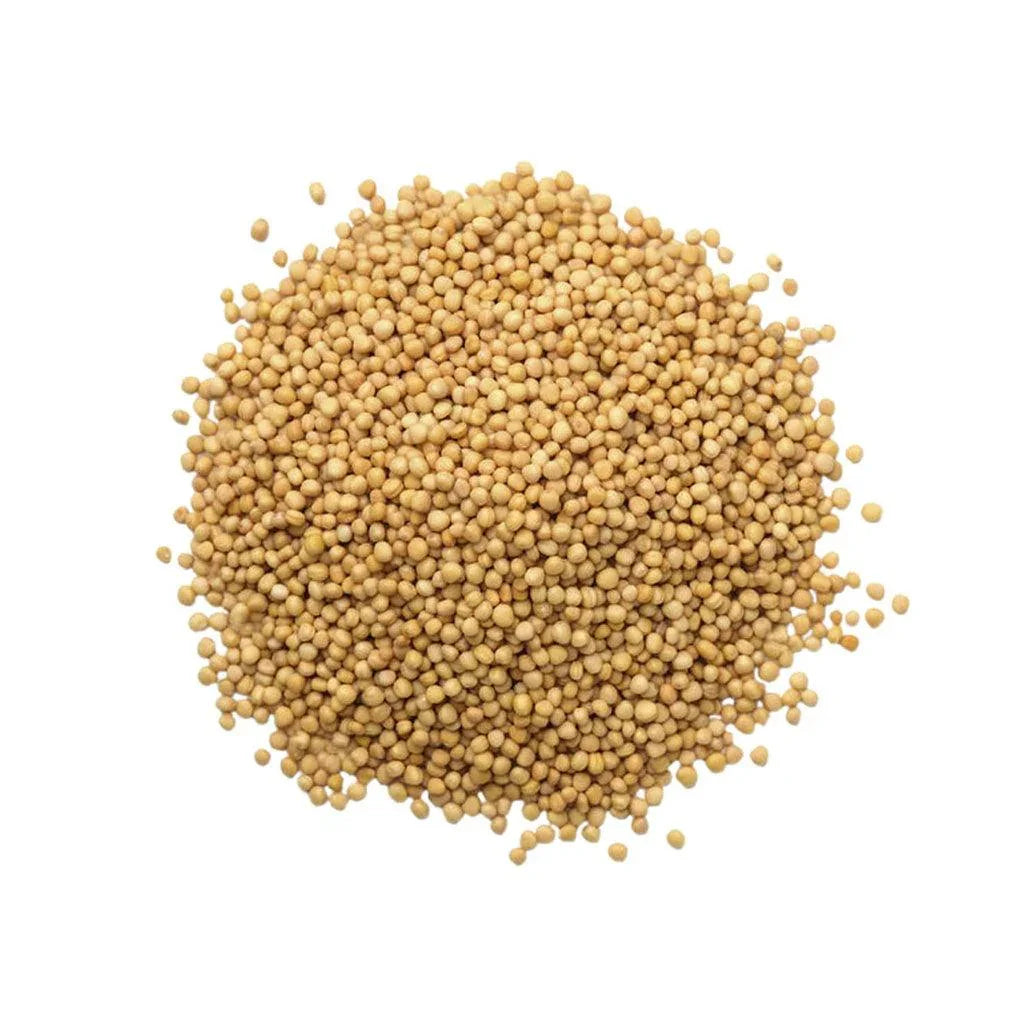 Organic Yellow Mustard Seeds (Bulk) La Boite à Grains Bulk - La Boite à Grains