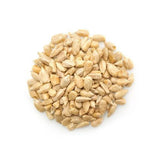 Salted Roasted Sunflower Seeds (Bulk) La Boite à Grains Bulk - La Boite à Grains