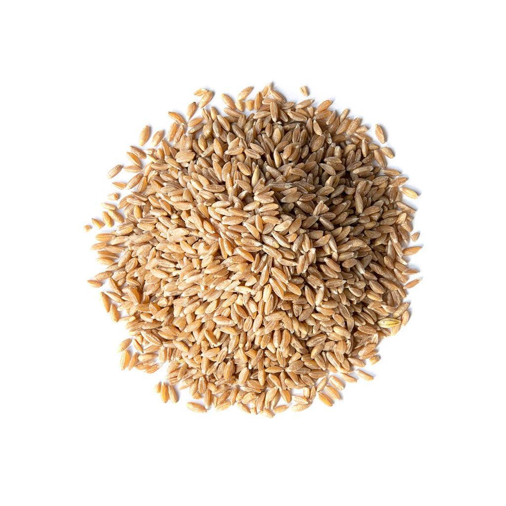 Grains d'Épeautre Biologiques (Vrac) La Boite à Grains Vrac - La Boite à Grains