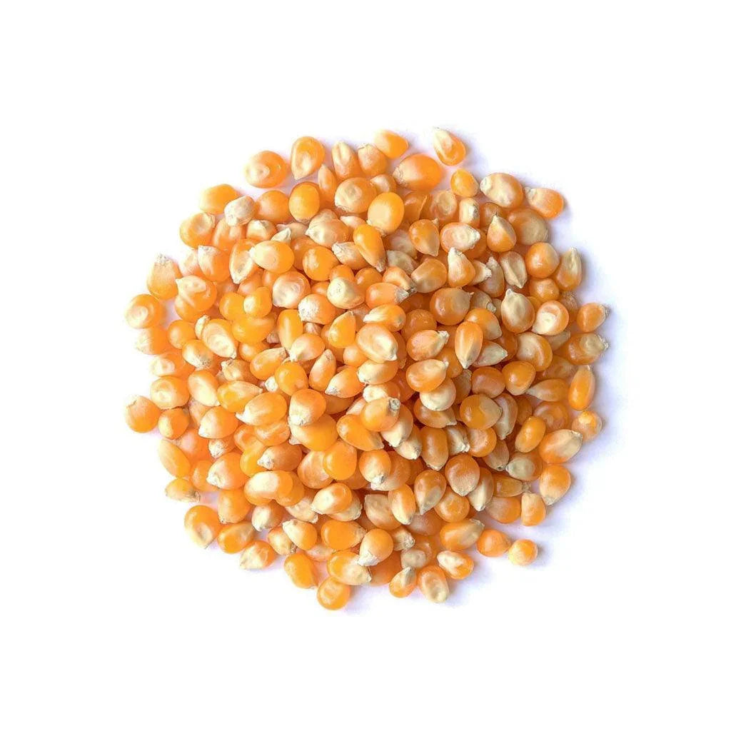 Grains de Maïs à Éclater Biologiques (Vrac) La Boite à Grains Vrac - La Boite à Grains