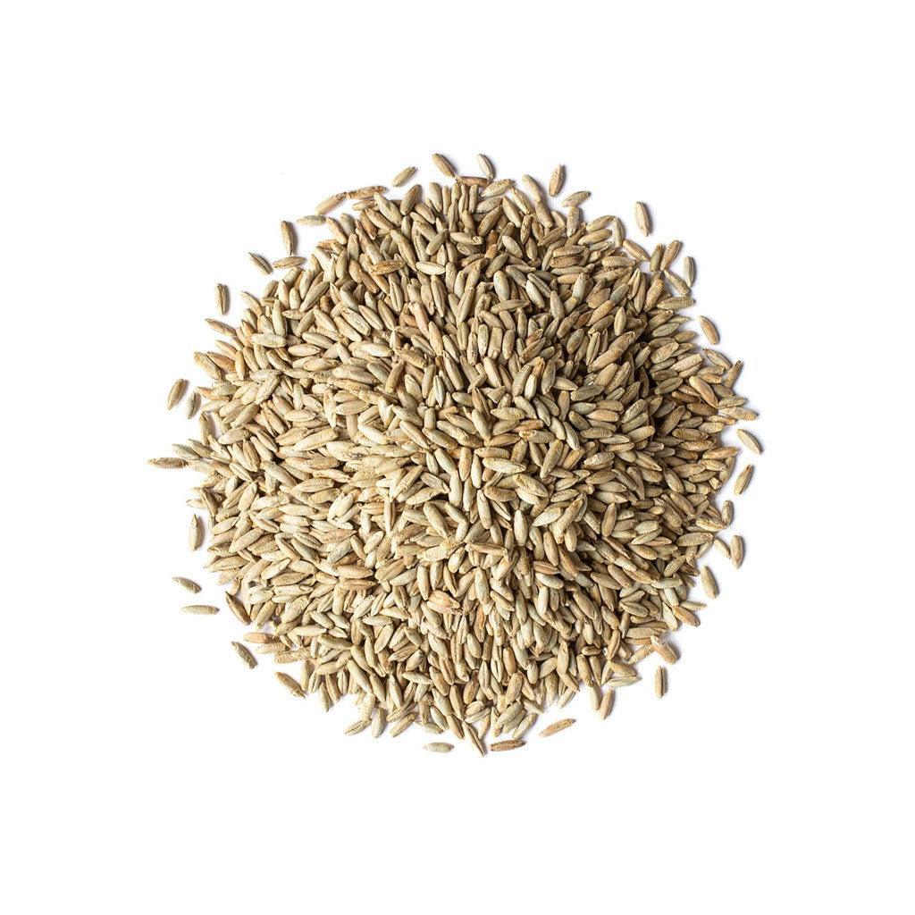 Grains de Seigle Entier Biologiques (Vrac) La Boite à Grains Vrac - La Boite à Grains