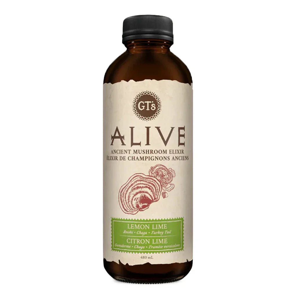 GT's kombucha alive elixir of ancient lemon lime mushrooms 480 ml - La Boite à Grains
