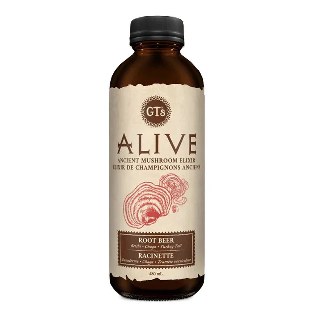 GT'S kombucha alive tonic with ancient Racinette mushrooms 480 ml - La Boite à Grains