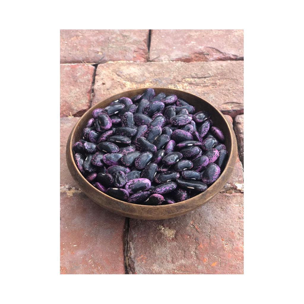 Organic Scarlet Runner Climbing Bean (Seeds) Nordic Seeds - La Boite à Grains