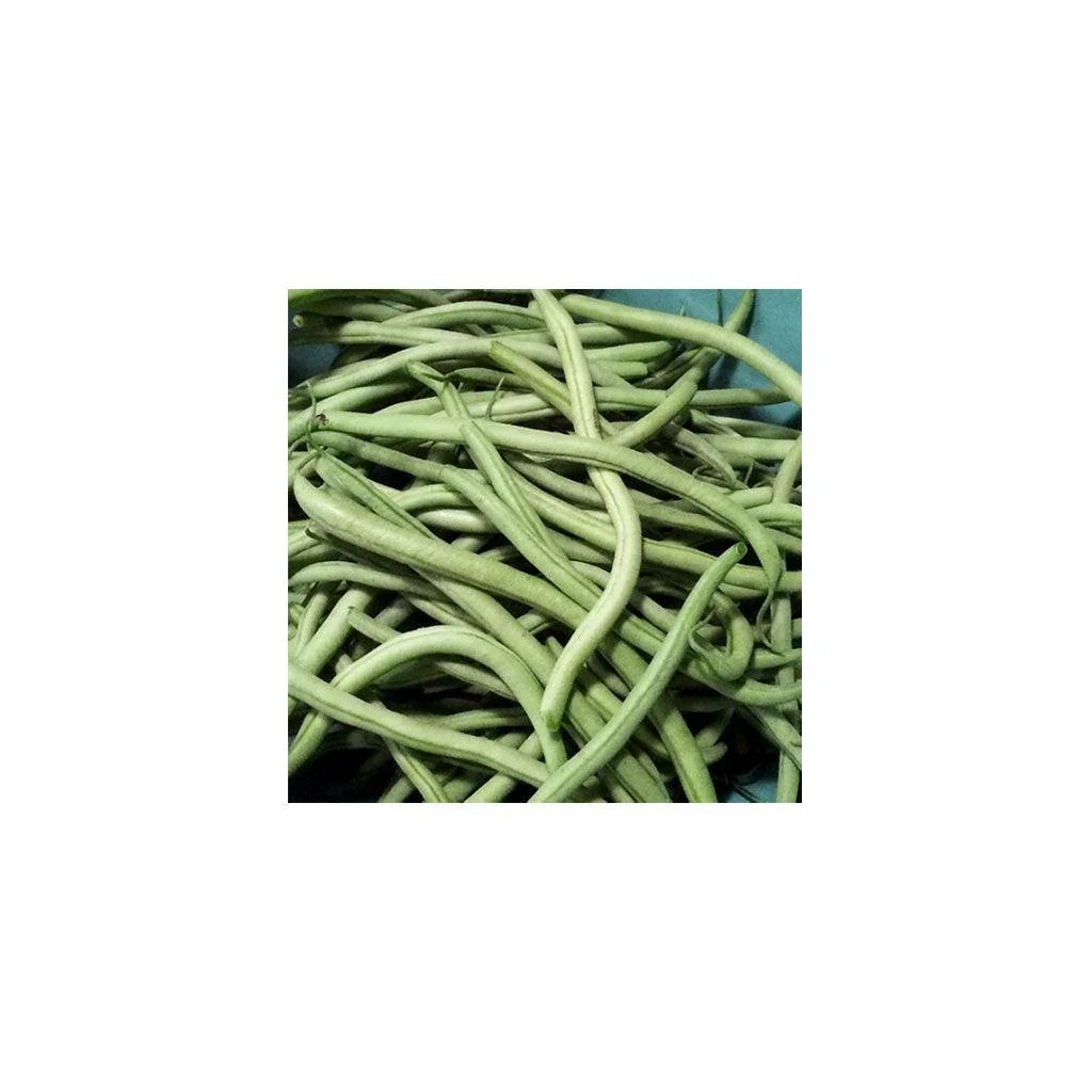 Organic Maxibel Bean Les Jardins de l’Écoumène - La Boite à Grains