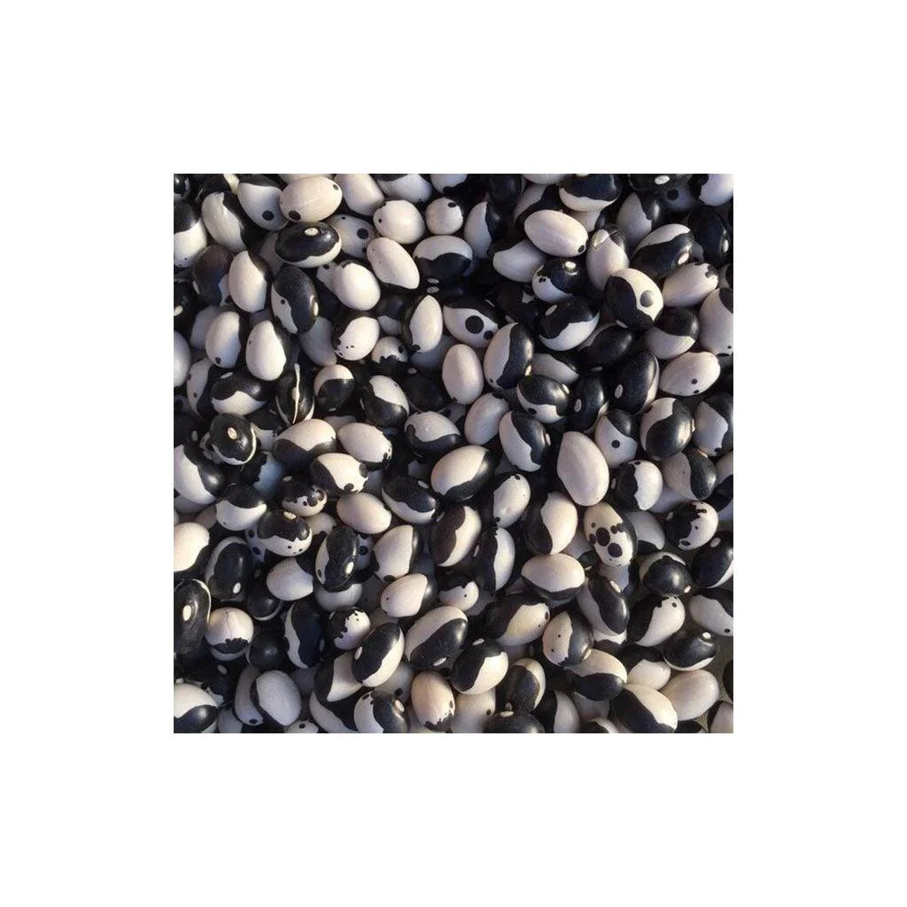 Organic Calypso Dried Bean (Seeds) Nordic Seeds - La Boite à Grains