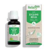 HerbalGem G75 Jugland Regia - La Boite à Grains