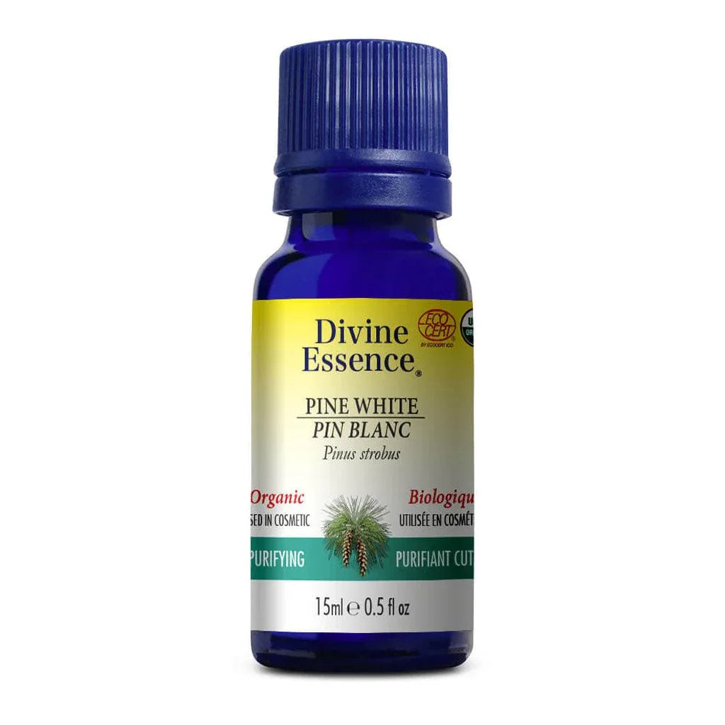 Divine Essence Organic White Pine Essential Oil - La Boite à Grains