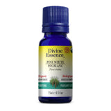 Divine Essence Organic White Pine Essential Oil - La Boite à Grains