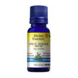 Divine Essence Organic Hemlock Essential Oil - La Boite à Grains