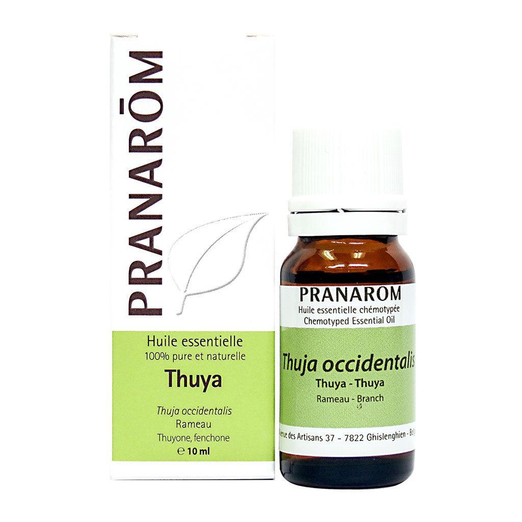 Thuya Pranarôm Essential Oil - La Boite à Grains