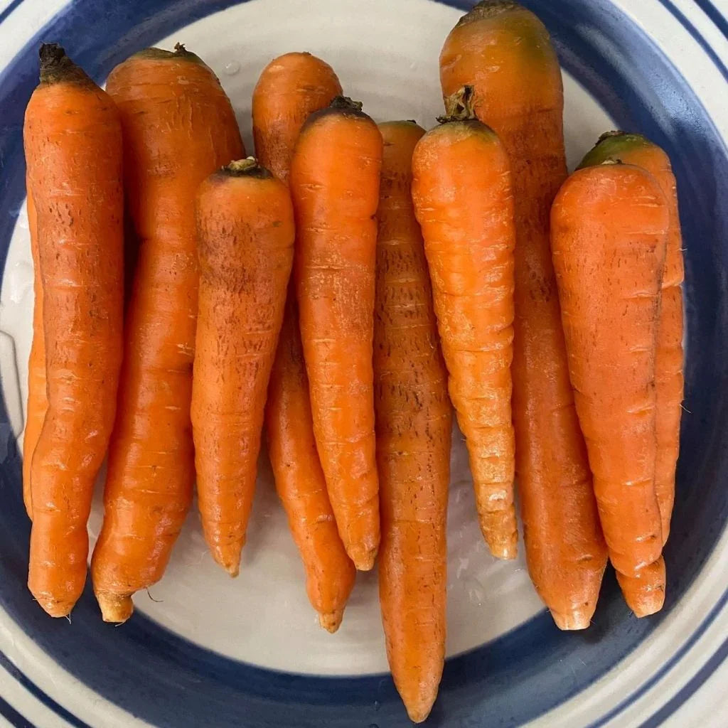 organic Dolciva carrot Les Jardins de l'Écoumène - La Boite à Grains