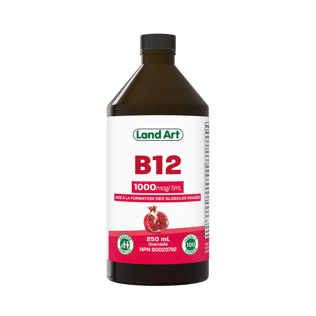 b12 grenade Land Art - La Boite à Grains
