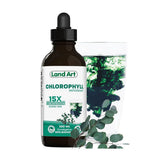 Concentrated Chlorophyll 15X Eucalyptus Land Art - La Boite à Grains