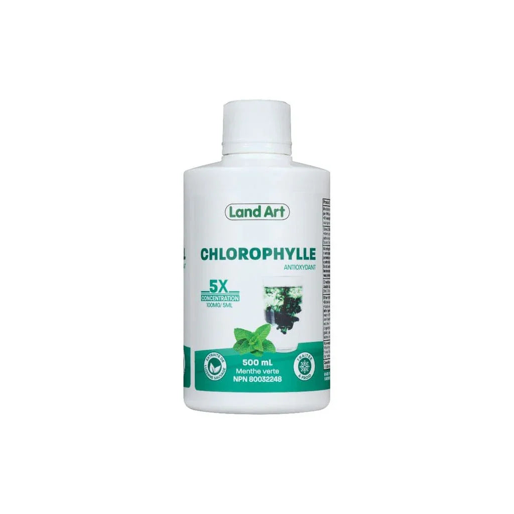 Chlorophylle Concentrée 5X Menthe Verte Land Art - La Boite à Grains