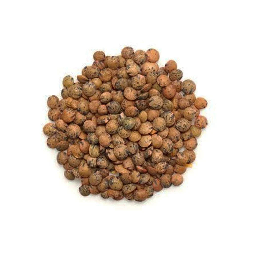 Organic Sprouting Brown Lentils (Bulk) La Boite à Grains Bulk - La Boite à Grains