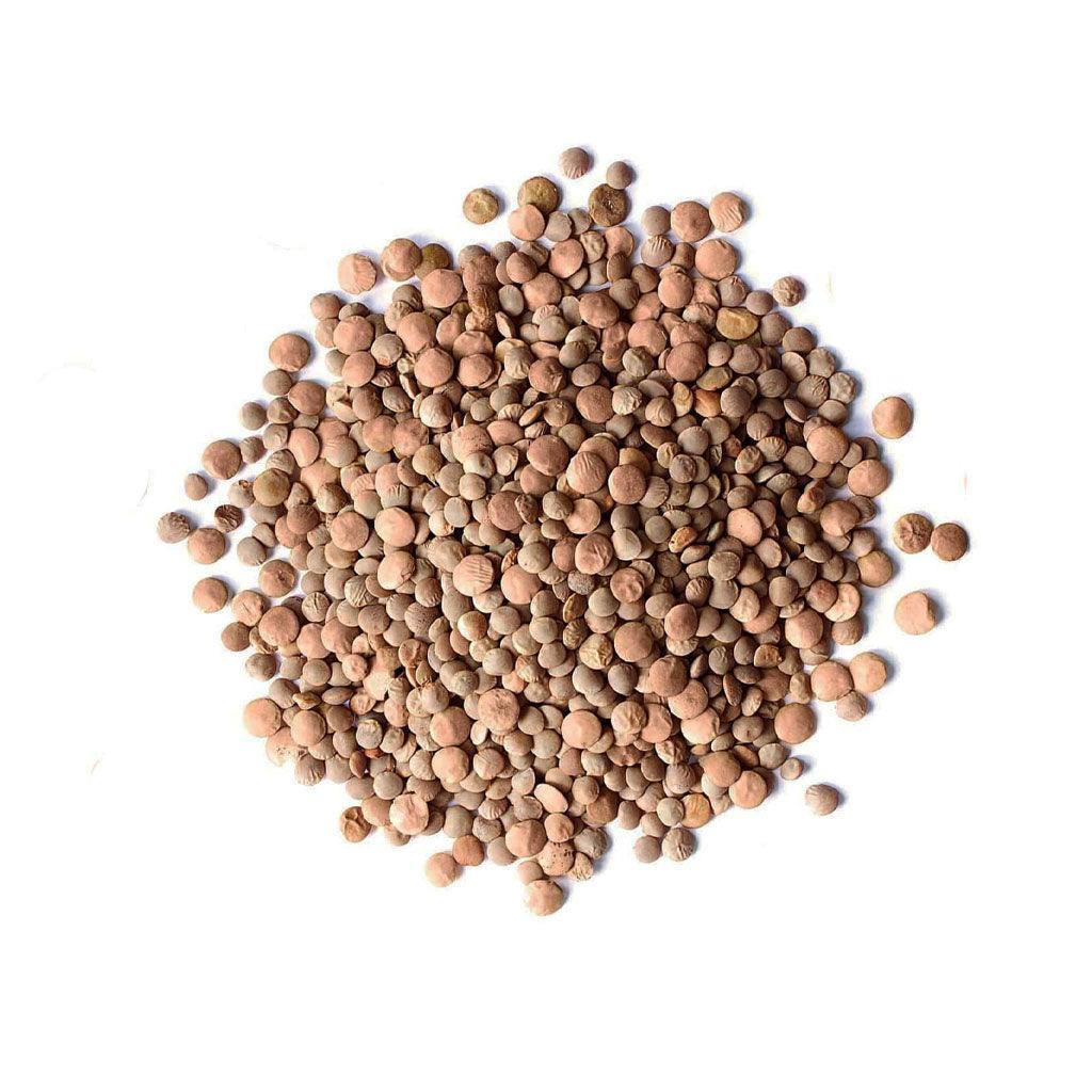 Organic Brown Lentils (Bulk) La Boite à Grains Bulk - La Boite à Grains