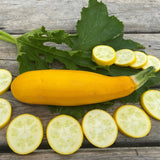 yellow zucchini Les Jardins de l’Écoumène - La Boite à Grains