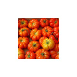 organic Rosso Sicilian tomato Les Jardins de l’Écoumène - La Boite à Grains