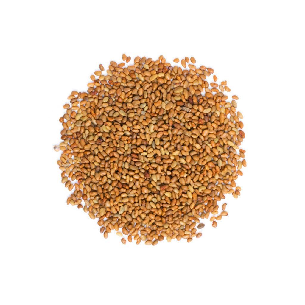 Alfalfa to Sprout Organic (Bulk) La Boite à Grains Bulk - La Boite à Grains