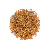 Alfalfa to Sprout Organic (Bulk) La Boite à Grains Bulk - La Boite à Grains