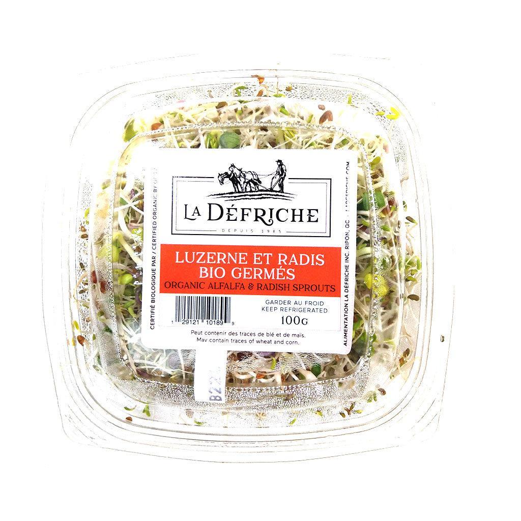 Luzerne et Radis Bio Germés La Défriche - La Boite à Grains