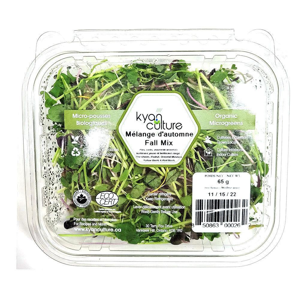 Fall Blend Organic Microgreens Kyan Culture - La Boite à Grains