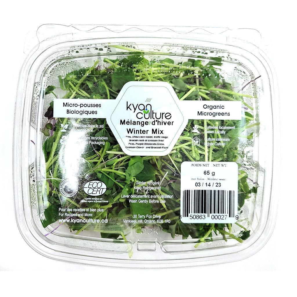 Kyan Culture Organic Microgreens Winter Mix - La Boite à Grains