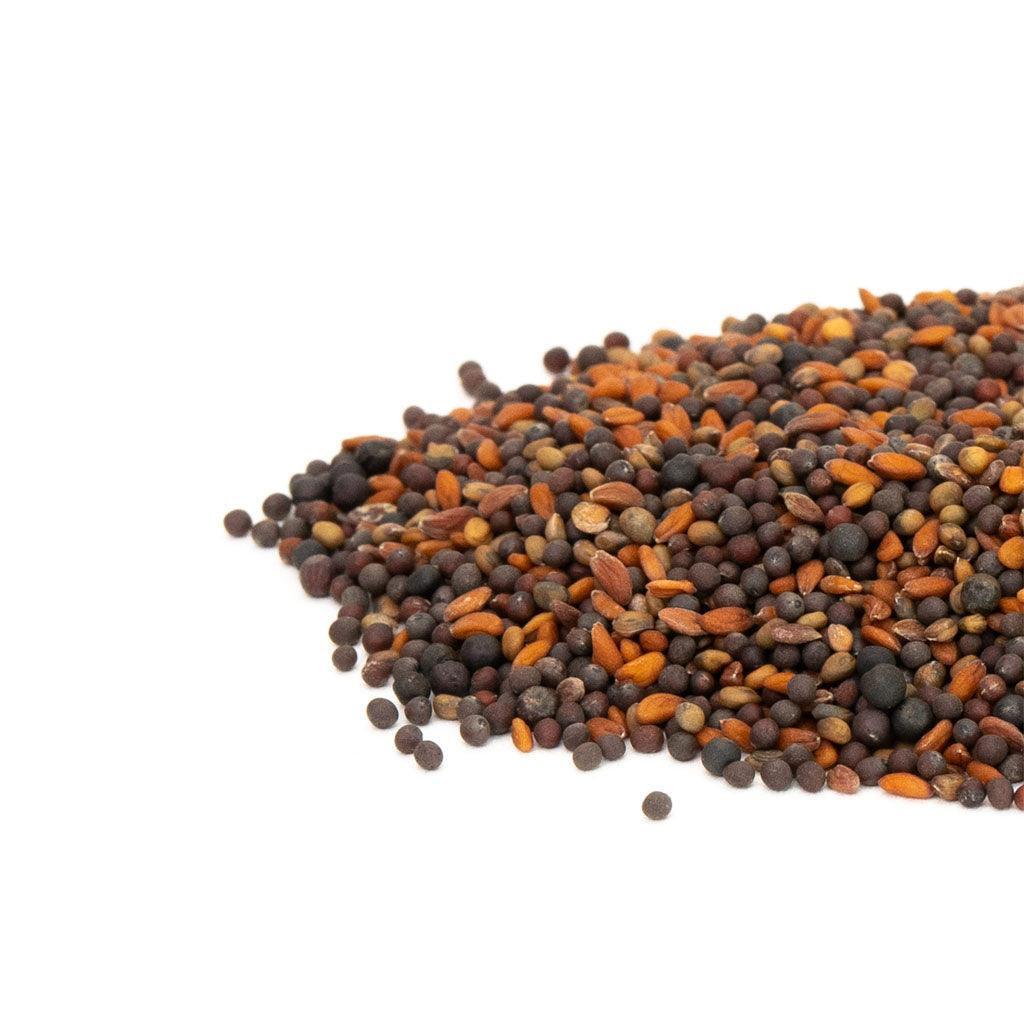 Mumm's Organic Spicy Microgreens Mix - La Boite à Grains