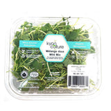 Kyan Culture Organic Microgreens Gentle Blend - La Boite à Grains