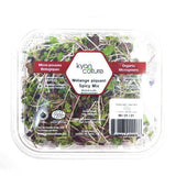 Mélange Piquant Micro-pousses Biologiques Kyan Culture - La Boite à Grains