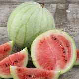 Melon King and Queen Winter Organic Les Jardins de l'Écoumène - La Boite à Grains
