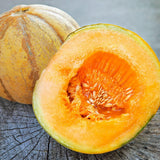 Organic Oka Melon Les Jardins de l'Écoumène - La Boite à Grains
