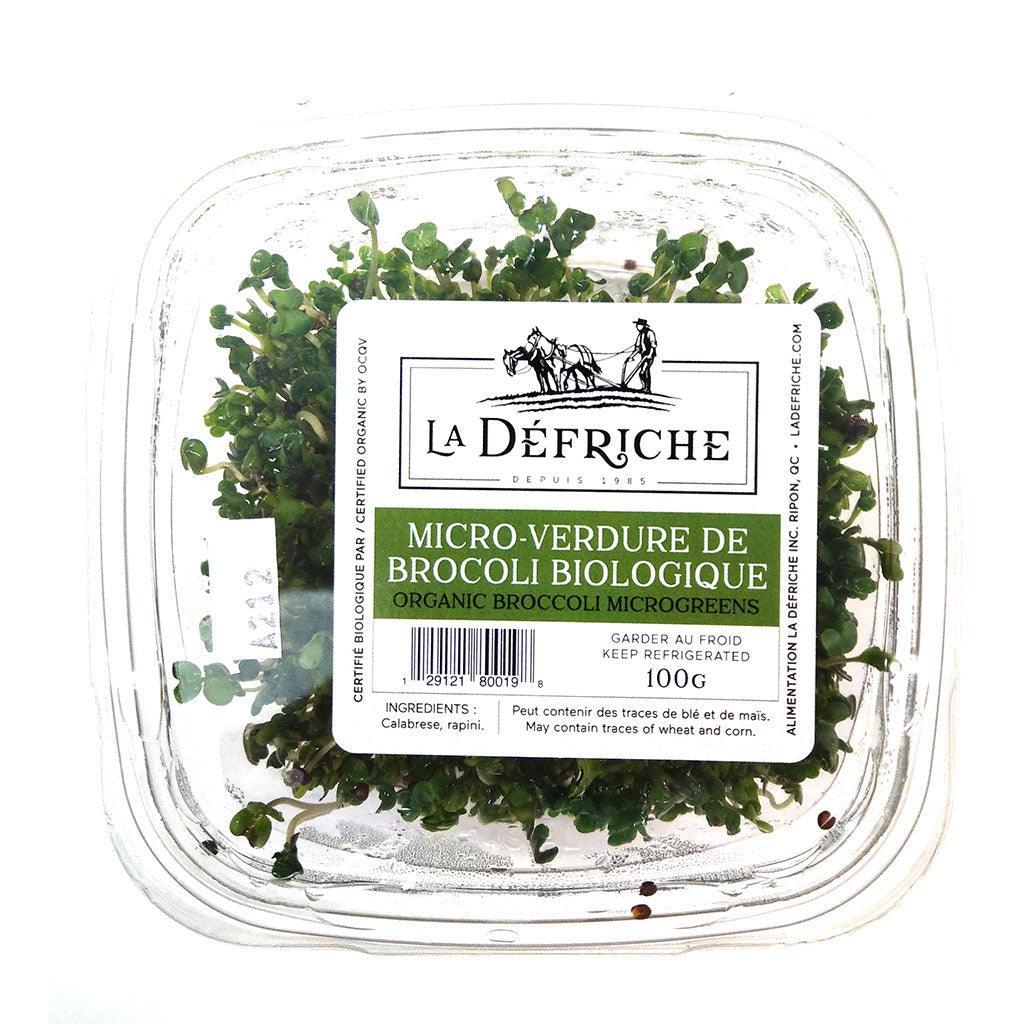 Micro Verdure de Brocoli Biologique La Défriche - La Boite à Grains