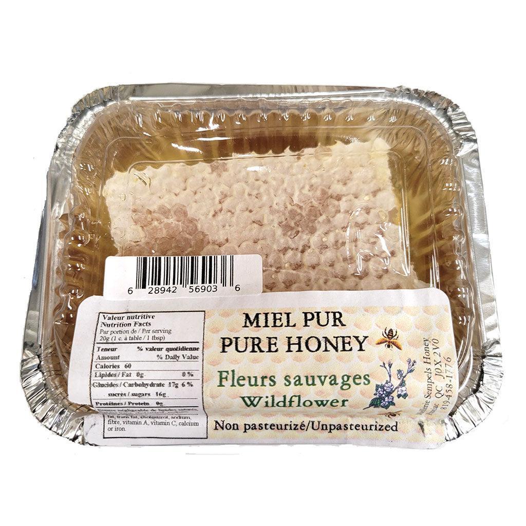Miel Pur de Fleurs Sauvages en Rayon Miellerie Sempels