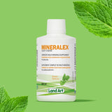 Mineralex Land Art - La Boite à Grains