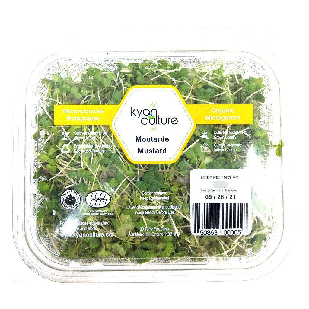 Kyan Culture Organic Microgreens Mustard - La Boite à Grains