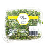 Kyan Culture Organic Microgreens Mustard - La Boite à Grains